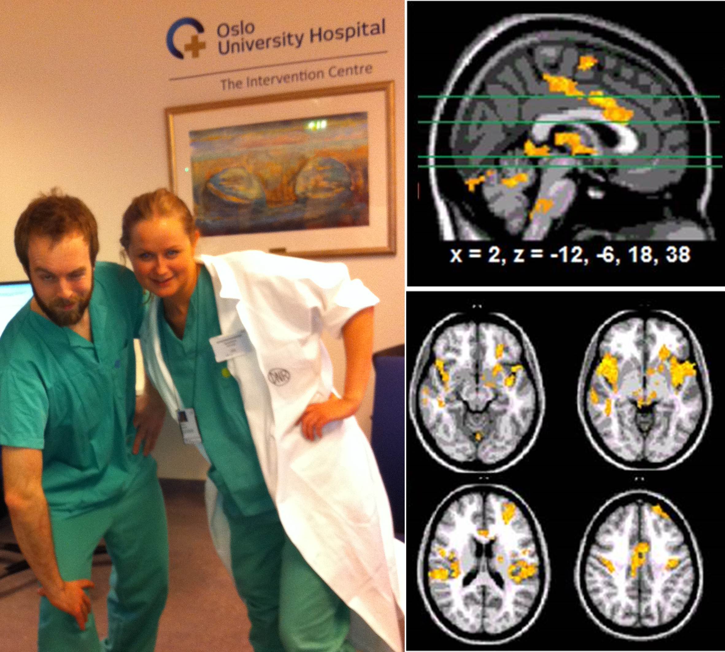 Methods | Affective Brain lab